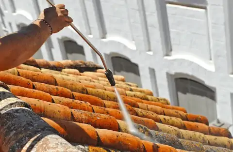 Nettoyage de toitures - Saint-Chamassy